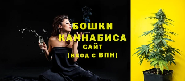 шишки Белоозёрский