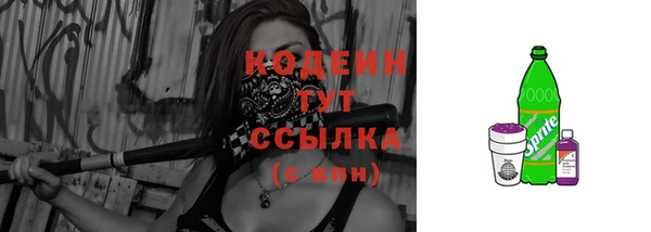 шишки Белоозёрский