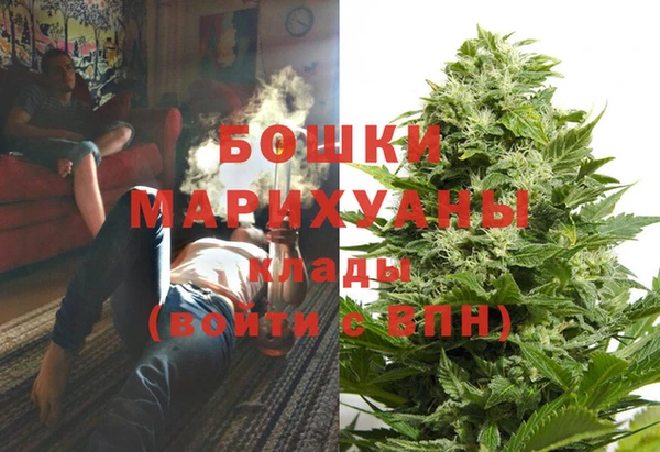 шишки Белоозёрский